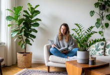 plantas modernas para a decoração